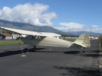 N43220 @ SZP - 1946 Taylorcraft BC-12D TRAVELER, Continental A&C65 65 Hp, recovered, refinished stunner! - by Doug Robertson