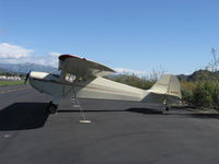 N43220 @ SZP - 1946 Taylorcraft BC-12D TRAVELER, Continental A&C65 65 Hp, recovered, refinished stunner! - by Doug Robertson