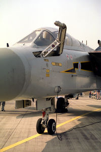 ZE811 @ EGXE - Panavia Tornado F3.  A close-up of the 'foldaway' refuelling nozzle. Aircraft from RAF No 111 Sqn, Leuchars and seen at RAF Leemings Air Fair 94. - by Malcolm Clarke