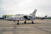 ZE838 @ EGXC - Panavia Tornado F3 from No 43 Sqn, Leuchars at RAF Coningsby's Photocall 94. - by Malcolm Clarke