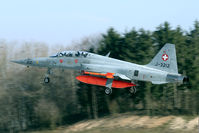 J-3212 @ LSMP - late afternoon arrival at Payerne. Note the Tiger nose art. - by Joop de Groot