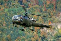 V-245 @ LSMA - Autumn give some nice backdrops for photographing. These trees are on the mountain slope adjecent to Alpnach AB. - by Joop de Groot
