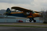 N4595M @ SZP - Sammy Mason soloing the PA-11 - by Nick Taylor Photography