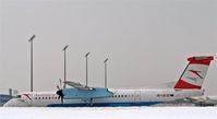 OE-LGI photo, click to enlarge OE-LGI photo, click to enlarge