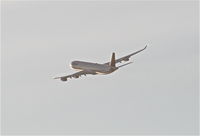 D-AIGO photo, click to enlarge
