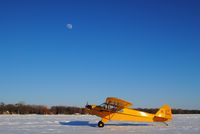 N38551 - Cub on Ice - by Mike Claxton