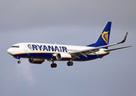 EI-DWS photo, click to enlarge