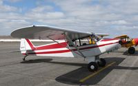 N1892A @ KAXN - Piper PA-18 Super Cub on the ramp.
