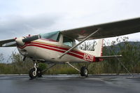 N25399 @ SZP - After the downpour - by Nick Taylor Photography