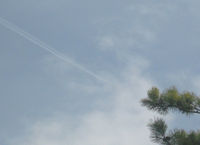 UNKNOWN @ CONTRAIL - In Flight over Faget