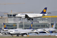 D-AILN @ EDDF - Lufthansa