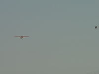 N2503Z @ POC - Landing in front of N108PP, Pomona PD Helicopter - by Helicopterfriend