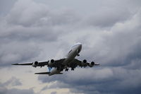 N50217 @ KBFI - 747-800 flight test