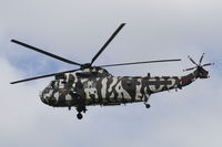 ZF115 photo, click to enlarge ZF115 photo, click to enlarge