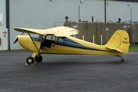 N3846E @ I19 - 1947 Aeronca 11AC - by Allen M. Schultheiss