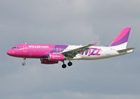 HA-LPI photo, click to enlarge
