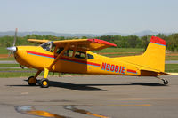 N8081E photo, click to enlarge