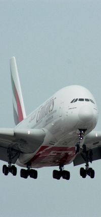 A6-EDD photo, click to enlarge A6-EDD photo, click to enlarge