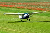 D-EUCI @ LIBF - Landing on the grass - by Virus