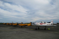 ZK-YAX @ NZOH - On the RNZAF Pilot Training Squadron flight line with PACL CT4E Airtrainers in the background. - by Rhys Postlewaight