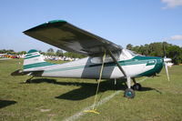 N8081A @ KLAL - Cessna 170B