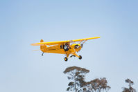 N73BB @ KLPC - Landing West Coast Cub Fly-in 2009 Lompoc
