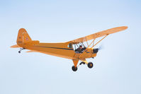 N33112 @ KLPC - At West Coast Cub Fly-in 2009 Lompoc