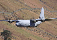 ZH885 photo, click to enlarge ZH885 photo, click to enlarge