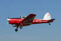 G-APYG @ EGSF - Chipmunk at Peterborough Conington - by Terry Fletcher