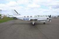 N14EF @ LAL - PA-46-350P - by Florida Metal