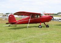 N436DC @ LAL - Cessna 140 - by Florida Metal