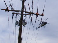 N407PS - low and slo over some line repairs in Carlisle Ohio - by Michael Black