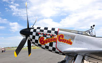 N251BP @ KTPL - 'Buzzin Cuzzin' nose art on Mustang. - by TorchBCT