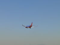 N242WN photo, click to enlarge