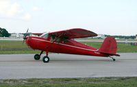N436DC @ LAL - Cessna 140 - by Florida Metal