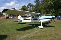 N1981C @ LAL - Cessna 170B - by Florida Metal