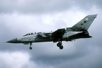 ZE154 @ EGQL - 43 Sq at its home base