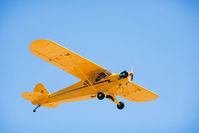 N30688 @ LPC - West Coast Cub Fly-in 2009 Lompoc