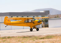 N42478 @ KLPC - West Coast Cub Fly-in 2009 Lompoc