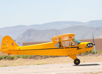 N42478 @ KLPC - At West Coast Cub Fly-in 2009 Lompoc - by Mike Madrid