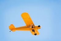N30627 @ KLPC - At West Coast Cub Fly-in 2009 Lompoc - by Mike Madrid