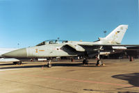 ZE253 @ MHZ - Tornado F.3 of RAF Coningsby's 229 Operational Conversion Unit on display at the 1990 RAF Mildenhall Air Fete. - by Peter Nicholson