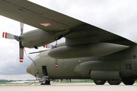 8T-CC @ LNZ - Austria - Air Force Lockheed C130 Hercules - by Thomas Ramgraber-VAP