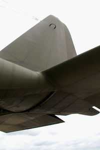 8T-CC @ LNZ - Austria - Air Force Lockheed C130 Hercules - by Thomas Ramgraber-VAP