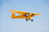 N30688 @ KLPC - At West Coast Cub Fly-in 2009 Lompoc