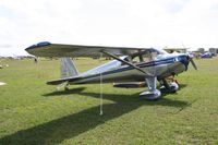 N2010B @ LAL - Luscombe 8A - by Florida Metal