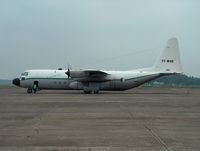 7T-WHD @ EHRD - Nice looking Hercules - by ghans