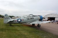 N365TA @ ANE - 1951 North American T-6G, c/n: 49-3365A - by Timothy Aanerud