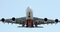 A6-EDE photo, click to enlarge A6-EDE photo, click to enlarge
