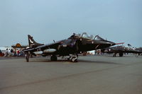 ZD993 @ EGDY - Coded 723 from 899 NAS at RNAS Yeovilton Air Day 2002 - by Roger Winser